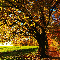 Lars Kristian Bryhn Stene